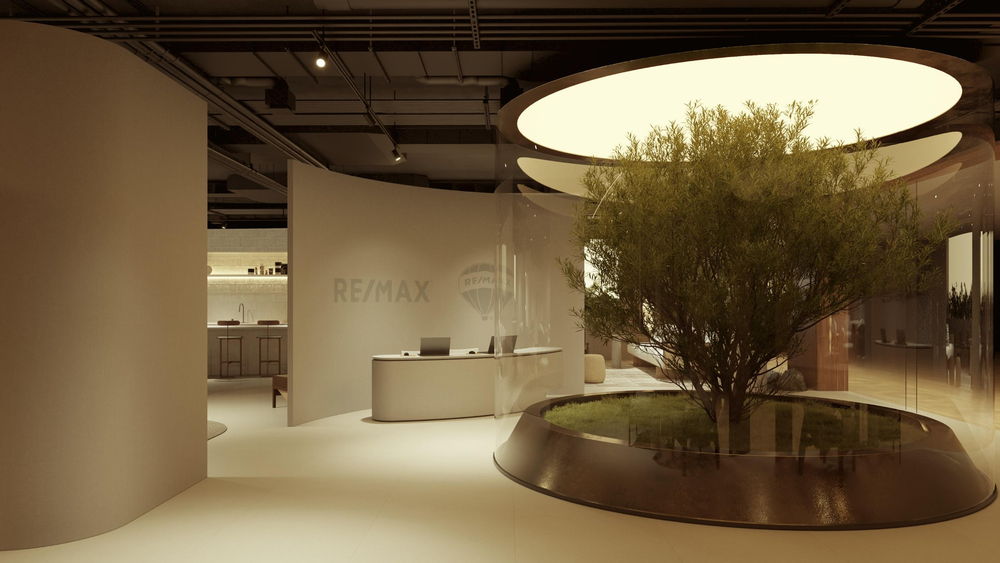 Projeto de loja: hall de entrada com balcão de recepção curvo, uma oliveira e uma claraboia circular iluminada